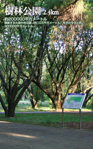 樹林公園 2.4km