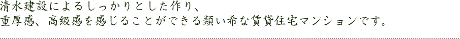 清水建設によるしっかりとした作り、重厚感、高級感を感じることができる類い希な賃貸住宅マンションです。